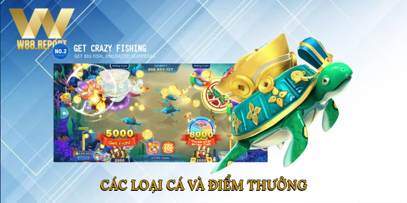Các loại cá và điểm thưởng