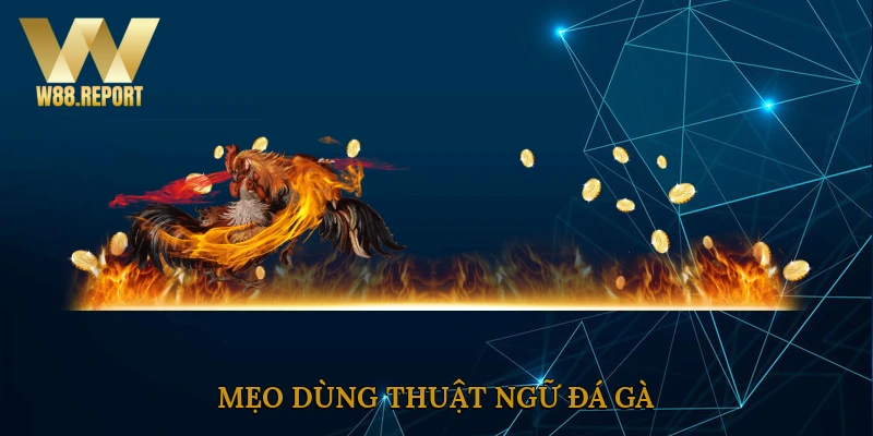 Mẹo dùng thuật ngữ đá gà 