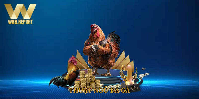 Thuật ngữ đá gà